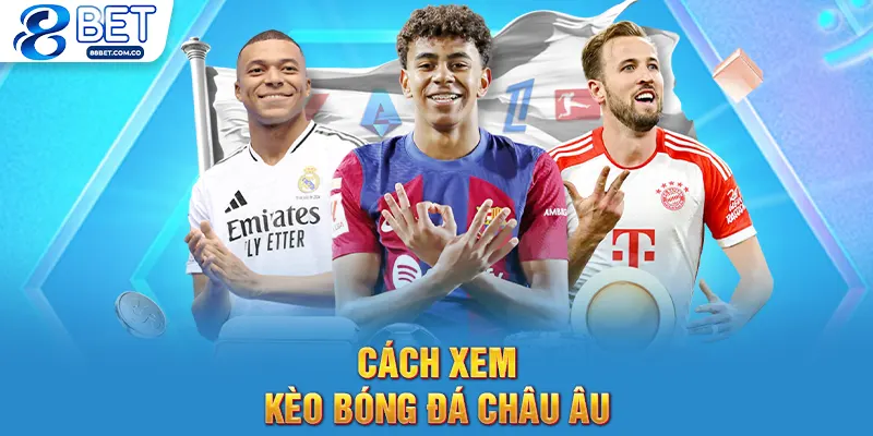 Cách xem kèo bóng đá châu Âu