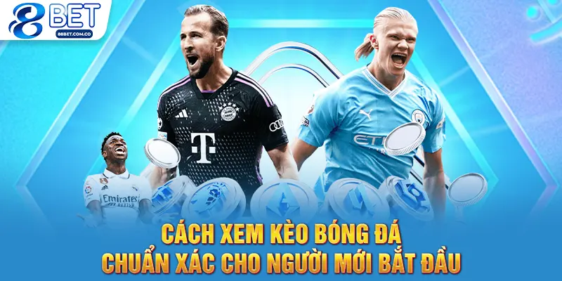 Cách Xem Kèo Bóng Đá - Chuẩn Xác Cho Người Mới Bắt Đầu